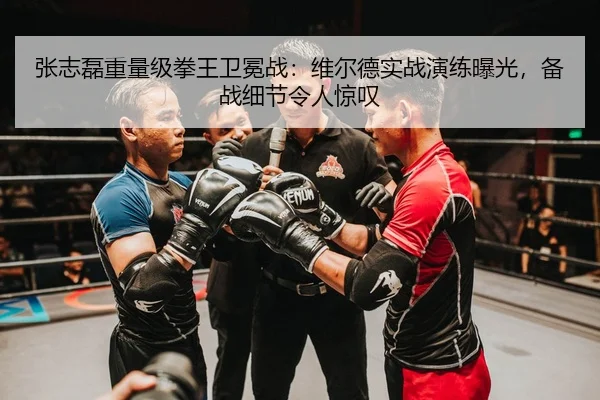 张志磊重量级拳王卫冕战：维尔德实战演练曝光，备战细节令人惊叹