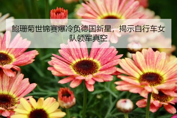 bao-shan-ju-shi-jin-sai-bao-leng-fu-de-guo-xin-xing-jie-shi-zi-xing-che-nv-dui-ling-jun-zhen-kong-2-301.jpg