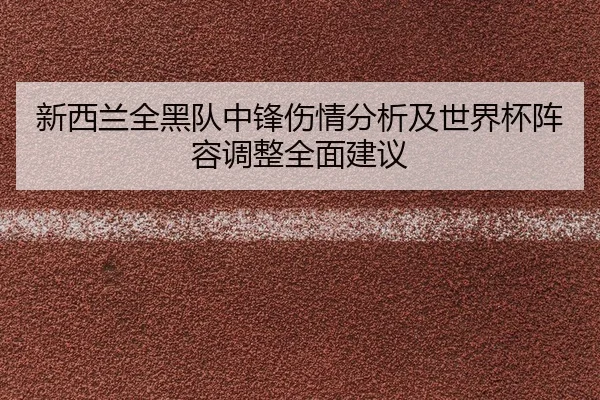 xin-xi-lan-quan-hei-dui-zhong-feng-shang-qing-fen-xi-ji-shi-jie-bei-zhen-rong-tiao-zheng-quan-mian-jian-yi-2-972.jpg